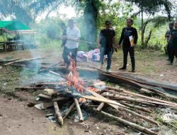 Geram dengan Praktik Judi Sabung Ayam, Kapolres Melawi Perintahkan Anggotanya Lakukan Penindakan