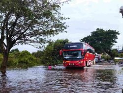 BPBD Melawi: 7.964 KK Terdampak Banjir dan Rusak Fasilitas Umum