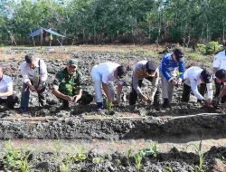 Daerah Tekan Inflasi Melalui Pencanangan Gerakan Tanam