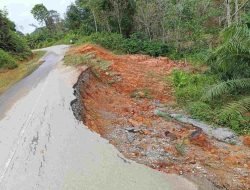 Longsor di Tebing Jalan Provinsi, Masyarakat Dihimbau Berhati-hati Saat Melintas