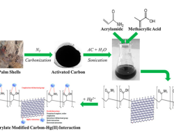 Inovasi Teknologi dalam Remediasi Pencemaran Air  Akibat Aktivitas Penambangan Emas Tanpa Izin (PETI)