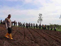 Kapolres Melawi Tanam Jagung Dukung Ketahanan Pangan Nasional