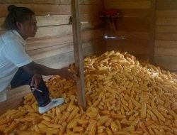 Dukung Ketahanan Pangan Program Tanam Jagung, Kades Embang Dorong Kolaborasi Bantuan