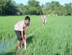 Kementerian ATR/BPN Dorong Partisipasi Masyarakat untuk Pasang Patok Batas Tanah Melalui GEMAPATAS
