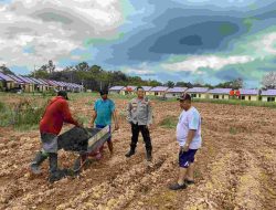 Dukung Program Asta Cita, Wakapolres Melawi Cek Lahan yang Bakal Ditanami Jagung