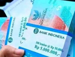 APBD Melawi 2026 Terancam Menyusut, Dana Transfer Dipangkas Rp 300 Miliar