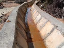 Sawah Kembali Produktif, Petani di Melawi Sambut Baik P3-TGAI