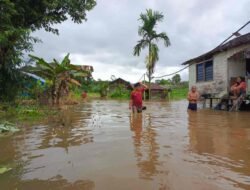 Banjir Rendam Permukiman Warga di Desa Balai Agas, BPBD Melawi Siaga