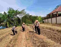 Kapolres Melawi Perintahkan Personel Terjun Bertani