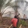 “Jangan Jadi Beban Daerah”: Picu Karhutla, Wabup Malin Sentil Keras Perusahaan Sawit Lalai Kelola Lahan