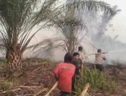 “Jangan Jadi Beban Daerah”: Picu Karhutla, Wabup Malin Sentil Keras Perusahaan Sawit Lalai Kelola Lahan