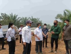 Kebakaran Melanda Areal PT RKA Melawi, Perusahaan Bersama Instansi Terkait Terus Berupaya Padamkan Api