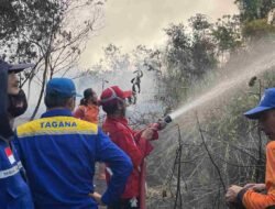 BPBD Melawi Catat Kejadian Karhutla, Luas Area Terbakar Capai 1.539 Hektare dan 2.364 Hostpot