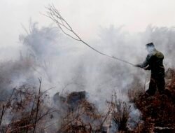 Kabut Asap Mengganggu Kualitas Udara, Aktivitas Belajar di Luar Ruangan Diminta Ditunda