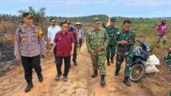 Karhutla Hanguskan Puluhan Hektare Areal PT SDK, Lahan Replanting dan Pengawasan Jadi Sorotan