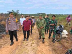Karhutla Hanguskan Puluhan Hektare Areal PT SDK, Lahan Replanting dan Pengawasan Jadi Sorotan