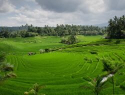 Lampaui Target, LP2B Capai 87,63% di Momen Peringatan 66 Tahun UUPA