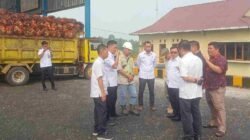 Antrean TBS Mengular di PKS PT SIP, Wabup Malin Desak Petani Lokal Diprioritaskan