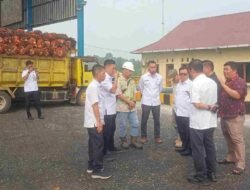 Antrean TBS Mengular di PKS PT SIP, Wabup Malin Desak Petani Lokal Diprioritaskan