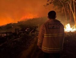 Karhutla Belum Usai, BPBD Melawi Catat 30 Kejadian dengan Luas Terdampak 1.683 Hektare