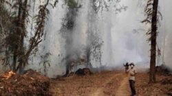 Alarm Karhutla Melawi Berbunyi Lagi, 72 Hotspot Terdeteksi, Ella Hilir Mendominasi