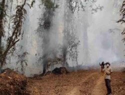 Alarm Karhutla Melawi Berbunyi Lagi, 72 Hotspot Terdeteksi, Ella Hilir Mendominasi