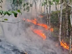 6 Desa Terdampak Karhutla di Ella Hilir, Luas Lahan Terbakar Capai 2.165 Hektare