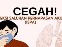 Kasus ISPA dan Diare Akut Tembus 892 Kasus dalam Lima Pekan, Ella Hilir dan Nanga Pinoh Tertinggi