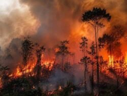 96 Hotspot Terdeteksi di Melawi, Belimbing Catat Titik Panas Tertinggi