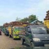 Pemkab Melawi Warning PKS: Jangan Tekan Harga TBS Saat Petani dalam Kondisi Sulit