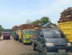 Pemkab Melawi Warning PKS: Jangan Tekan Harga TBS Saat Petani dalam Kondisi Sulit