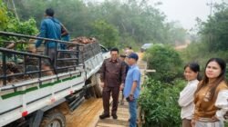 Bertahun-tahun Mengandalkan Swadaya, Jembatan Sungai Belawai Menanti Perhatian Pemkab Melawi