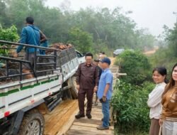 Bertahun-tahun Mengandalkan Swadaya, Jembatan Sungai Belawai Menanti Perhatian Pemkab Melawi