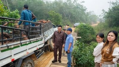 Bertahun-tahun Mengandalkan Swadaya, Jembatan Sungai Belawai Menanti Perhatian Pemkab Melawi
