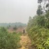 33 Kilometer Jalan Kabupaten Tak Terawat, PT KAP Siapkan Rp 4 Miliar untuk Perbaikan