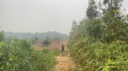 33 Kilometer Jalan Kabupaten Tak Terawat, PT KAP Siapkan Rp 4 Miliar untuk Perbaikan