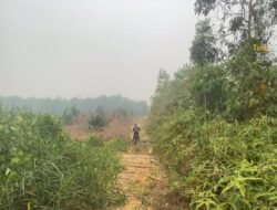 33 Kilometer Jalan Kabupaten Tak Terawat, PT KAP Siapkan Rp 4 Miliar untuk Perbaikan