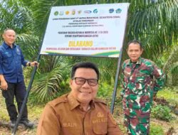 Wabup Melawi Dukung Penataan Lahan Sitaan PT SMS, Minta Agrinas Pastikan Hak Petani Tak Terabaikan